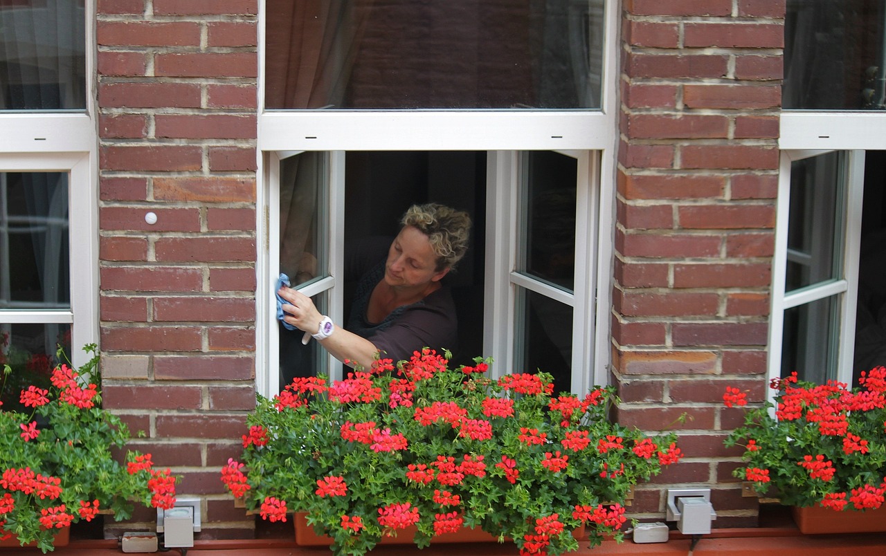 Fenster Frau Putzen Reinigen Blumen Blumenkästen
