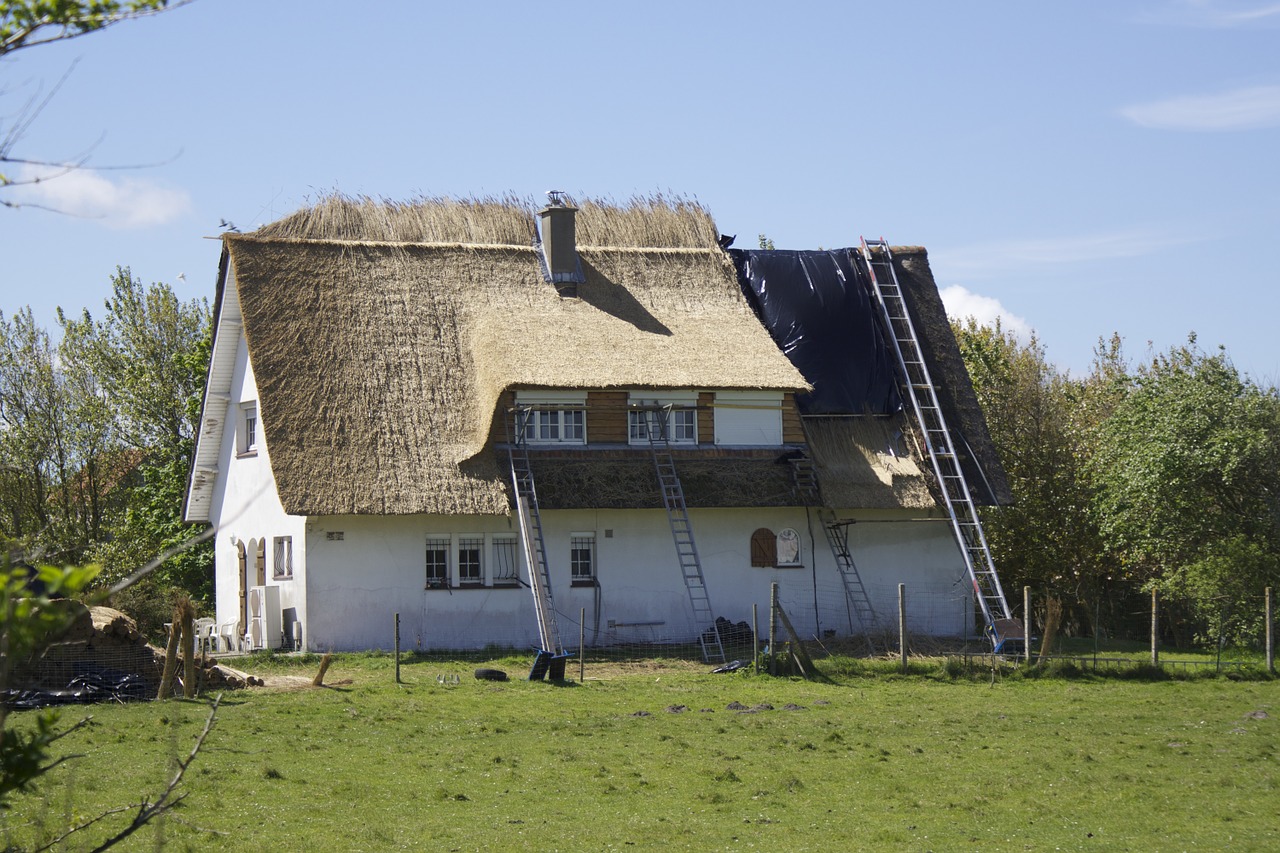 Renovieren Sanieren Reetdach Dach Fenster