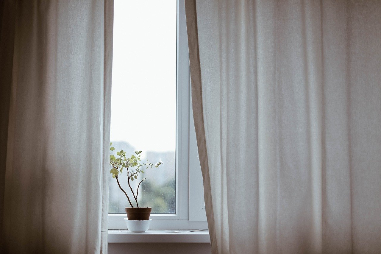 Fenster Fensterbrett Blume Pflanze Vorhänge
