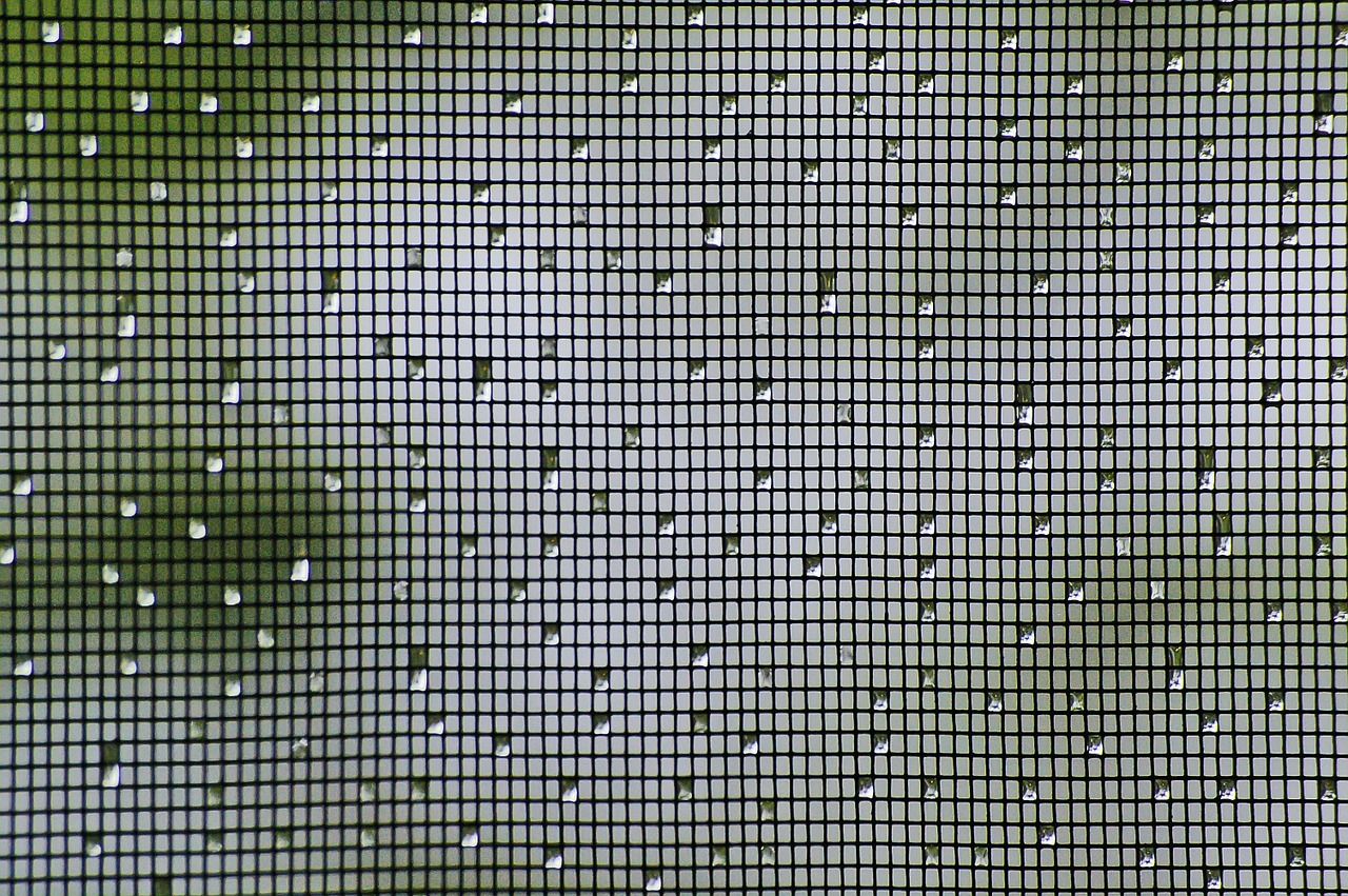 Fliegen Insekten Fliegengitter Regentropfen