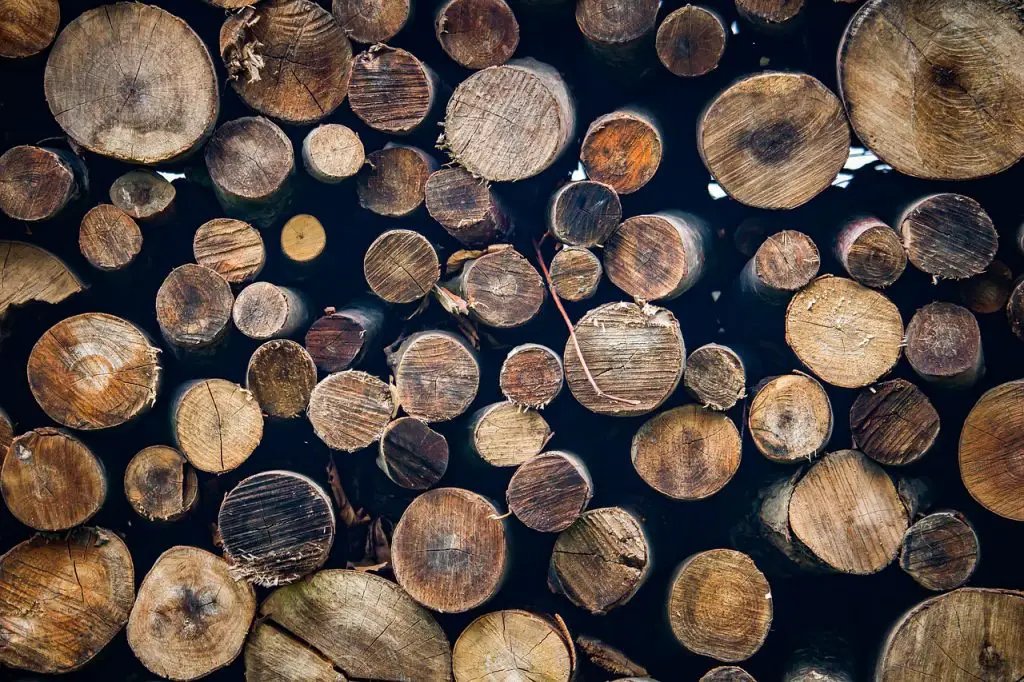 Holz Baumstämme DIY Regal